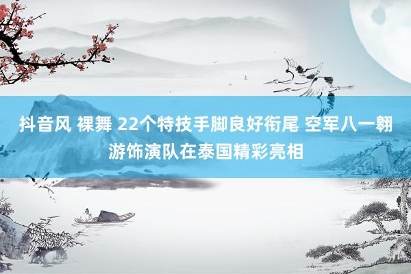抖音风 裸舞 22个特技手脚良好衔尾 空军八一翱游饰演队在泰国精彩亮相
