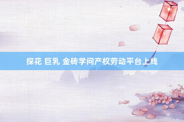 探花 巨乳 金砖学问产权劳动平台上线