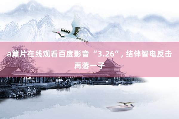 a篇片在线观看百度影音 “3.26”， 结伴智电反击再落一子